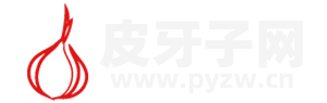 皮牙子网