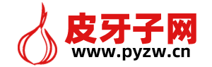 皮牙子网