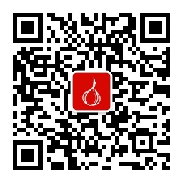 关注微信公众号-皮牙子网